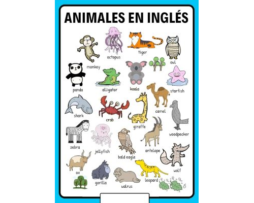 Animales en inglés 1