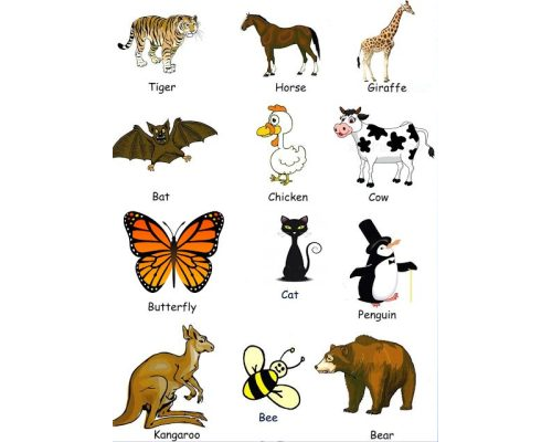 Fichas de animales en inglés