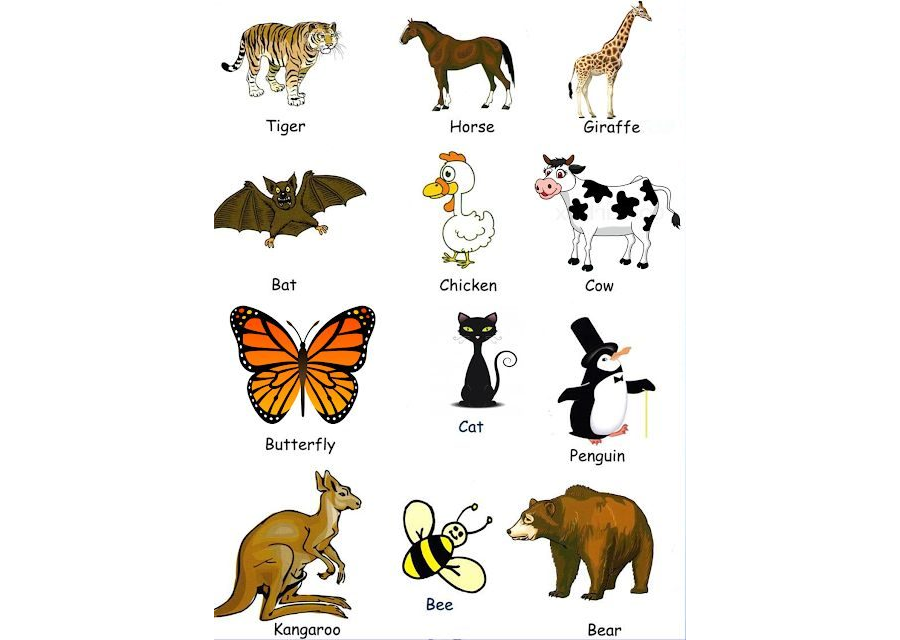 Animales en inglés 3