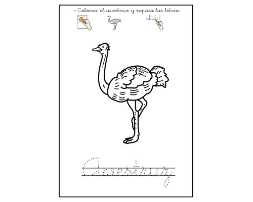 Fichas de avestruces para colorear 3