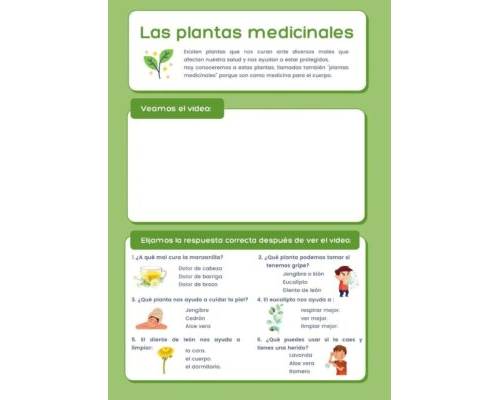 Propiedades curativas de las plantas 2