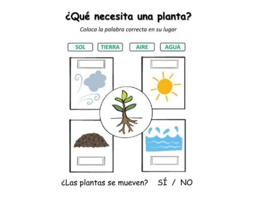 Cuidados y requerimientos básicos 2