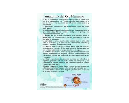 Fichas de color turquesa para estudiar 1