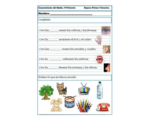 Fichas de naturales 2 primaria