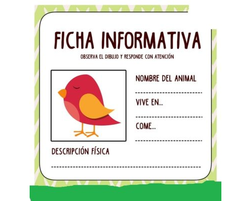 Fichas de pájaros para escribir 2