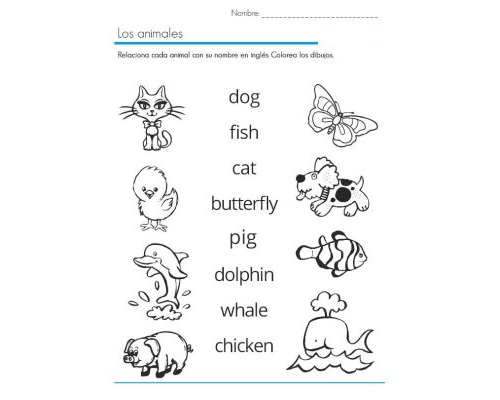 Ejercicios de asociación de palabras 3