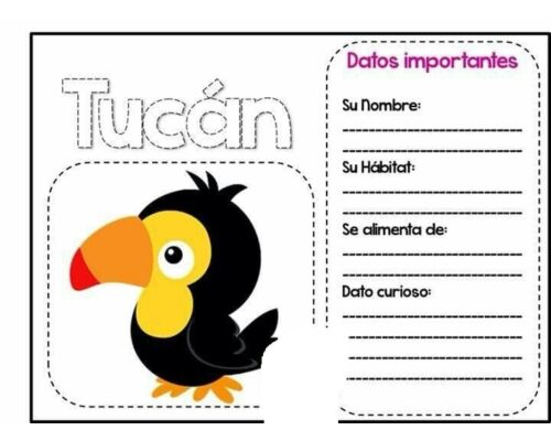 Fichas de pájaros para escribir 1