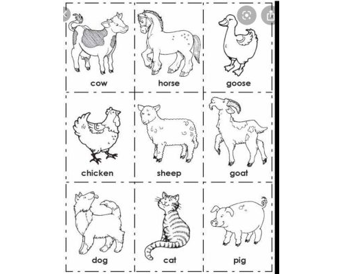 Consejos para memorizar los colores en inglés 3