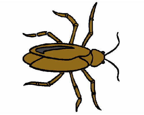 Fichas de cucarachas para colorear 1