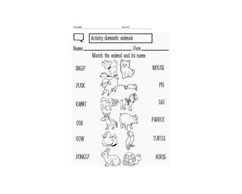 Fichas de repaso y refuerzo de temas específicos 2