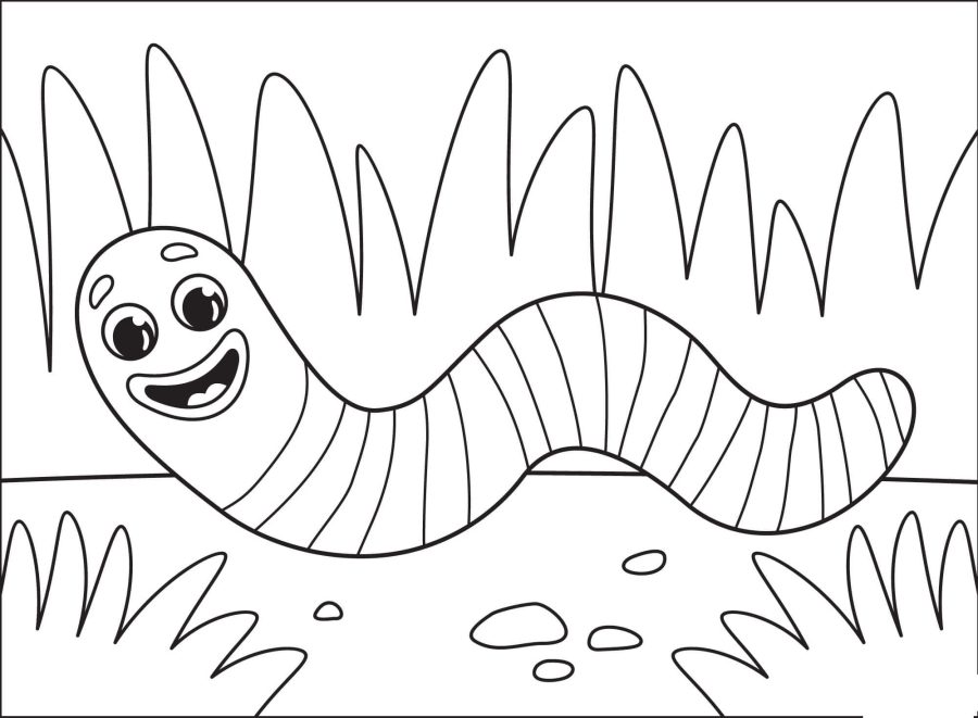 Fichas de gusanos para colorear 1