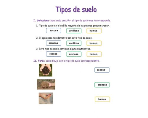 Altura, forma y tipo de suelo recomendado 2