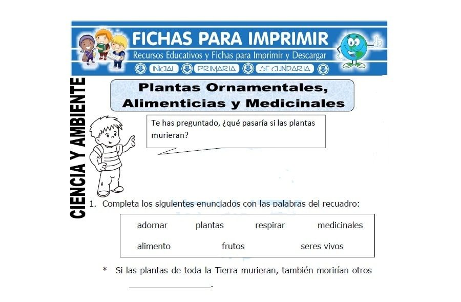 Ayuda en la selección adecuada de plantas ornamentales 2
