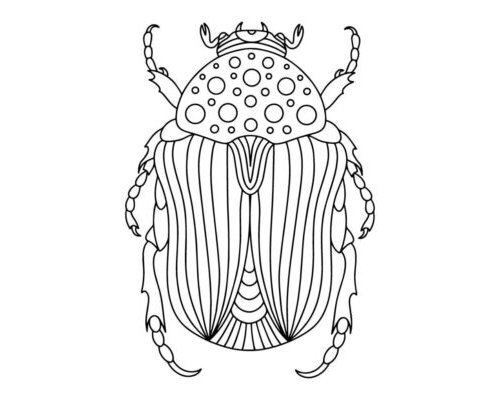 Fichas de escarabajos para colorear 3