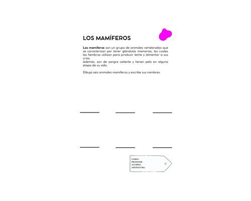 Fichas de color magenta para escribir 1