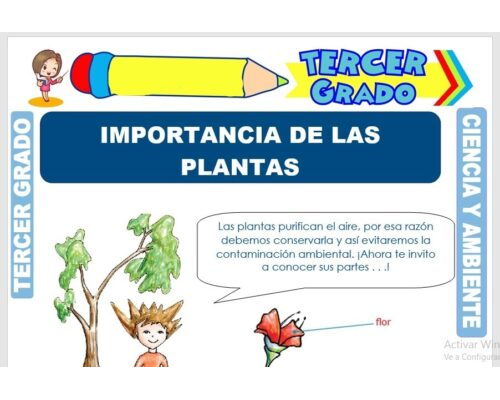 Ventajas de utilizar fichas para el cuidado de plantas 3