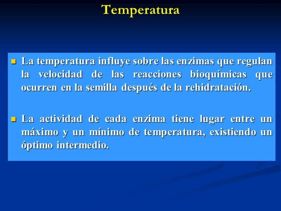 Importancia del agua y la humedad en la germinación 3