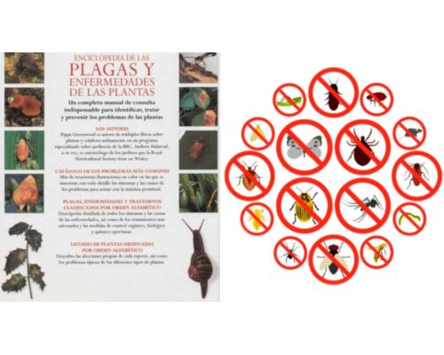 Plagas y enfermedades 1