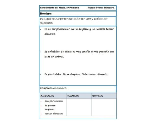 fichas de naturales 5 primaria 2