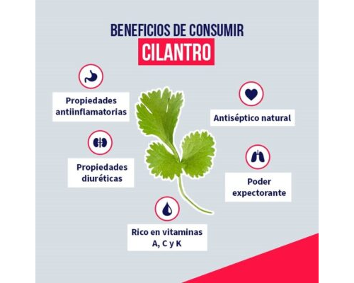 Fichas de plantas medicinales