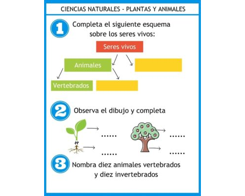 Recursos y juegos relacionados con la materia de Ciencias Naturales 2
