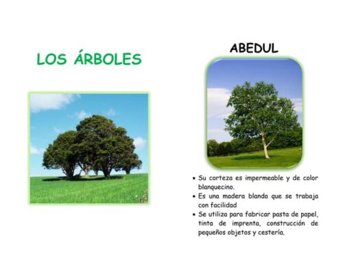 Árboles, palmeras, arbustos y trepadoras 3