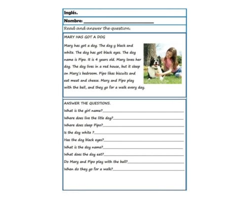 Promoción de la interactividad y participación 2