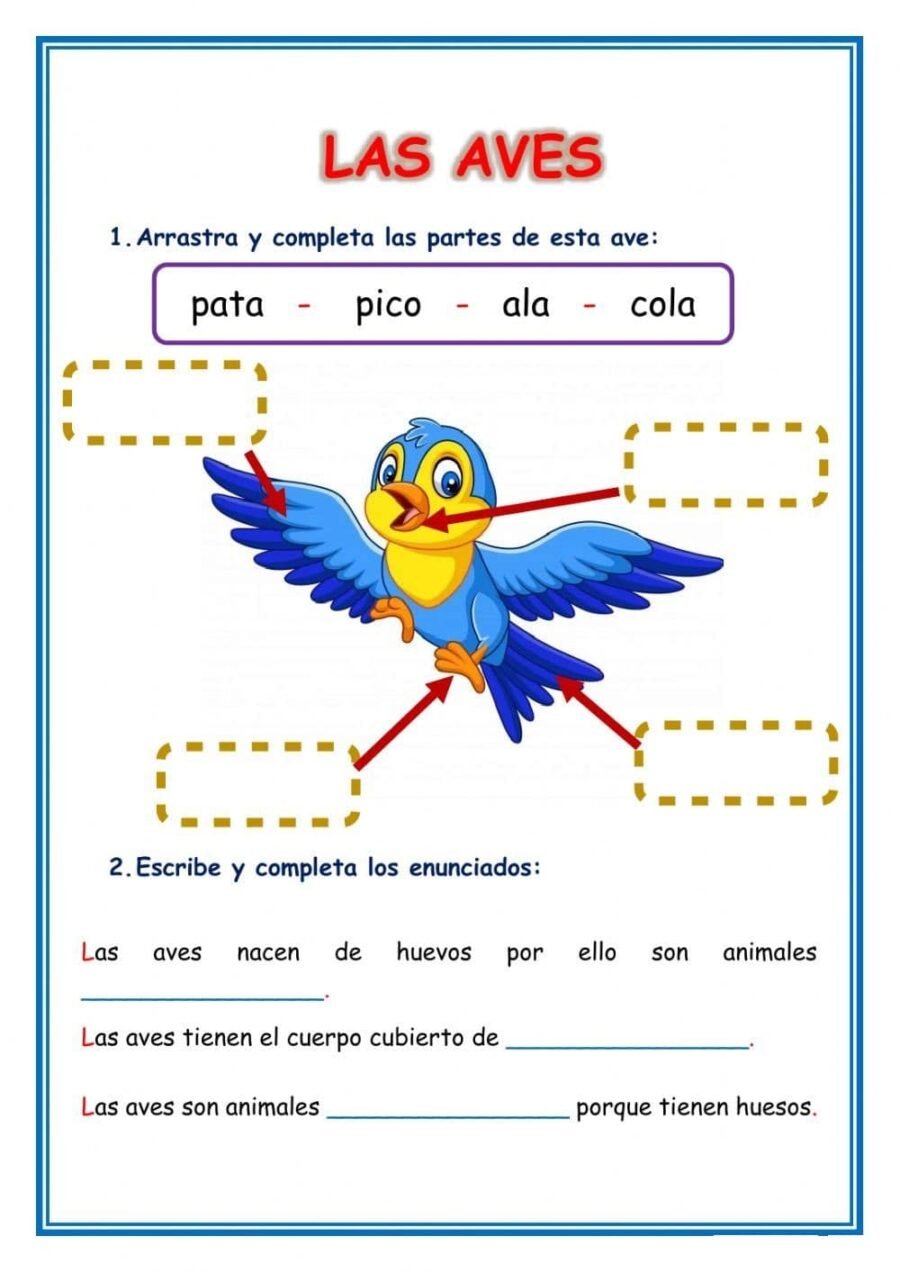 Fichas de pájaros para imprimir 2