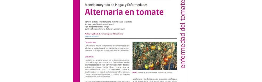 Plagas y enfermedades 3