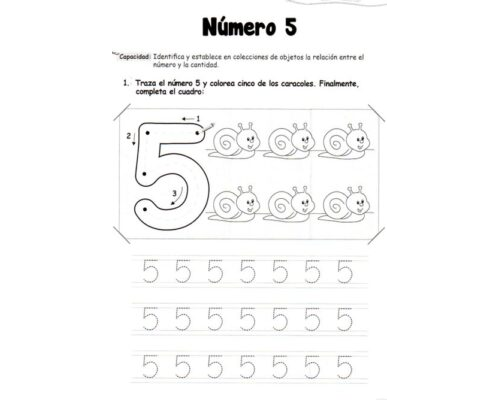 fichas de número 5