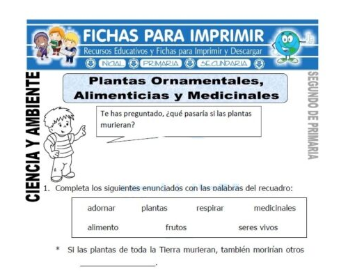 Dónde puedo encontrar fichas de plantas ornamentales 3