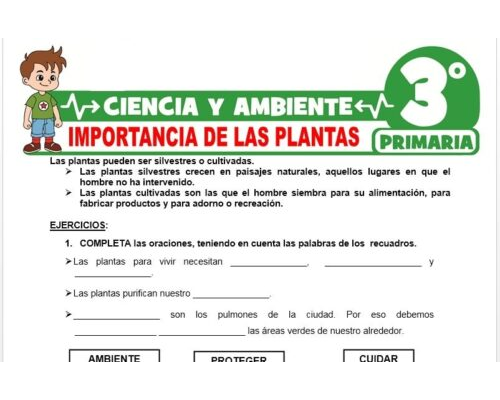 Ventajas de utilizar fichas para el cuidado de plantas 1