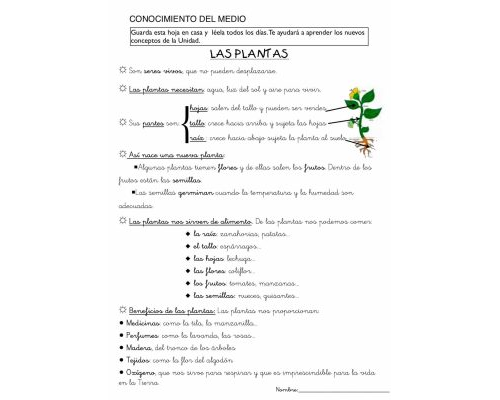 La importancia del medio ambiente y la naturaleza en las fichas de ciencias naturales 1