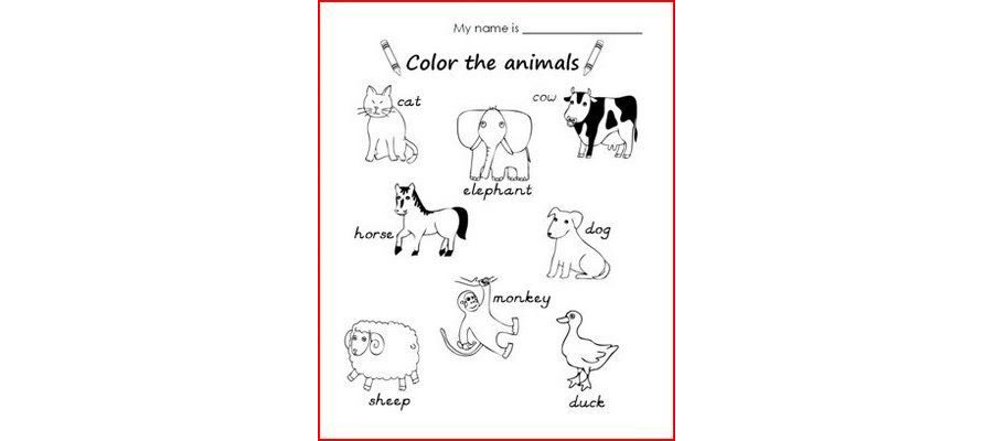 Cuadernillos de ejercicios para imprimir 2