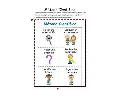 Ejercicios de comprensión y aprendizaje activo en fichas de naturales 2 primaria 1