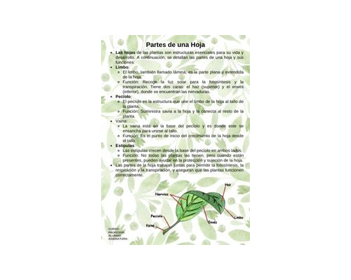 Fichas de colores secundarios para estudiar 3