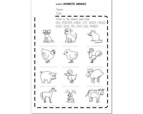 Animales en inglés 2