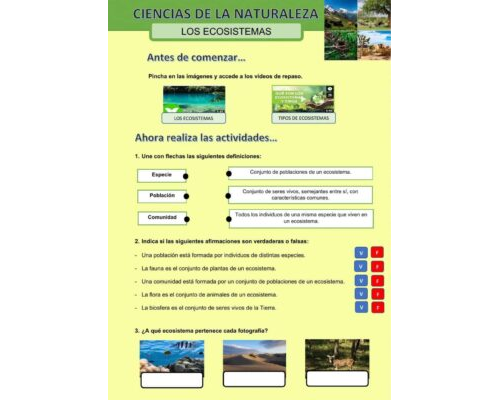 Juegos y actividades interactivas para aprender sobre la naturaleza 3