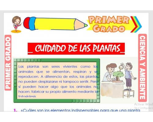 Cuidados y requerimientos básicos 1