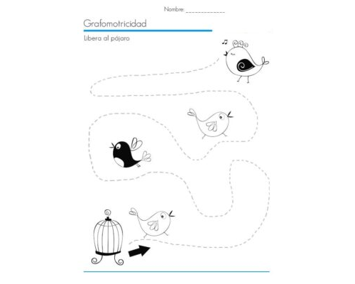 Fichas de pájaros para escribir 3