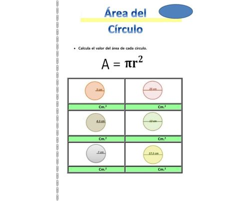 Área y perímetro de círculos 2