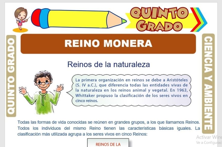 Actividades prácticas y experimentos para fomentar la participación de los alumnos 2