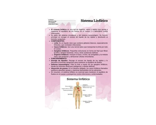 Fichas de color magenta para estudiar 1