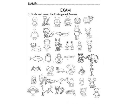 Fichas de inglés 3 primaria