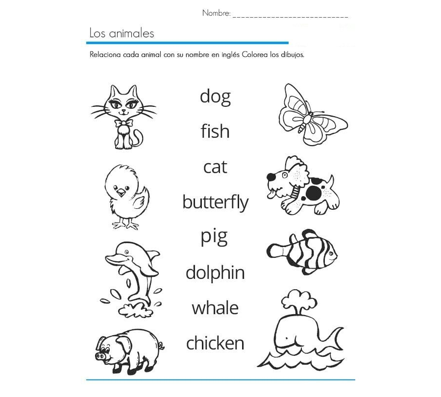 Ejercicios de asociación de palabras 3