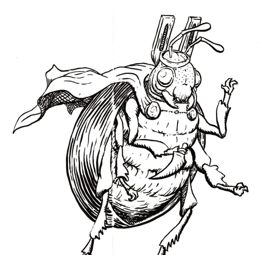 Fichas de escarabajos para escribir 2