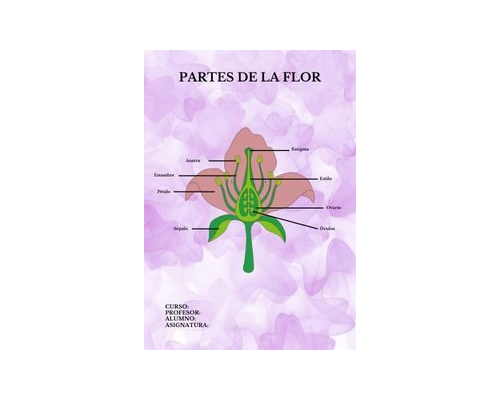 Fichas de color morado para estudiar 1