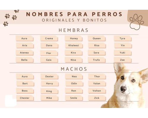 Fichas de perros para escribir 1