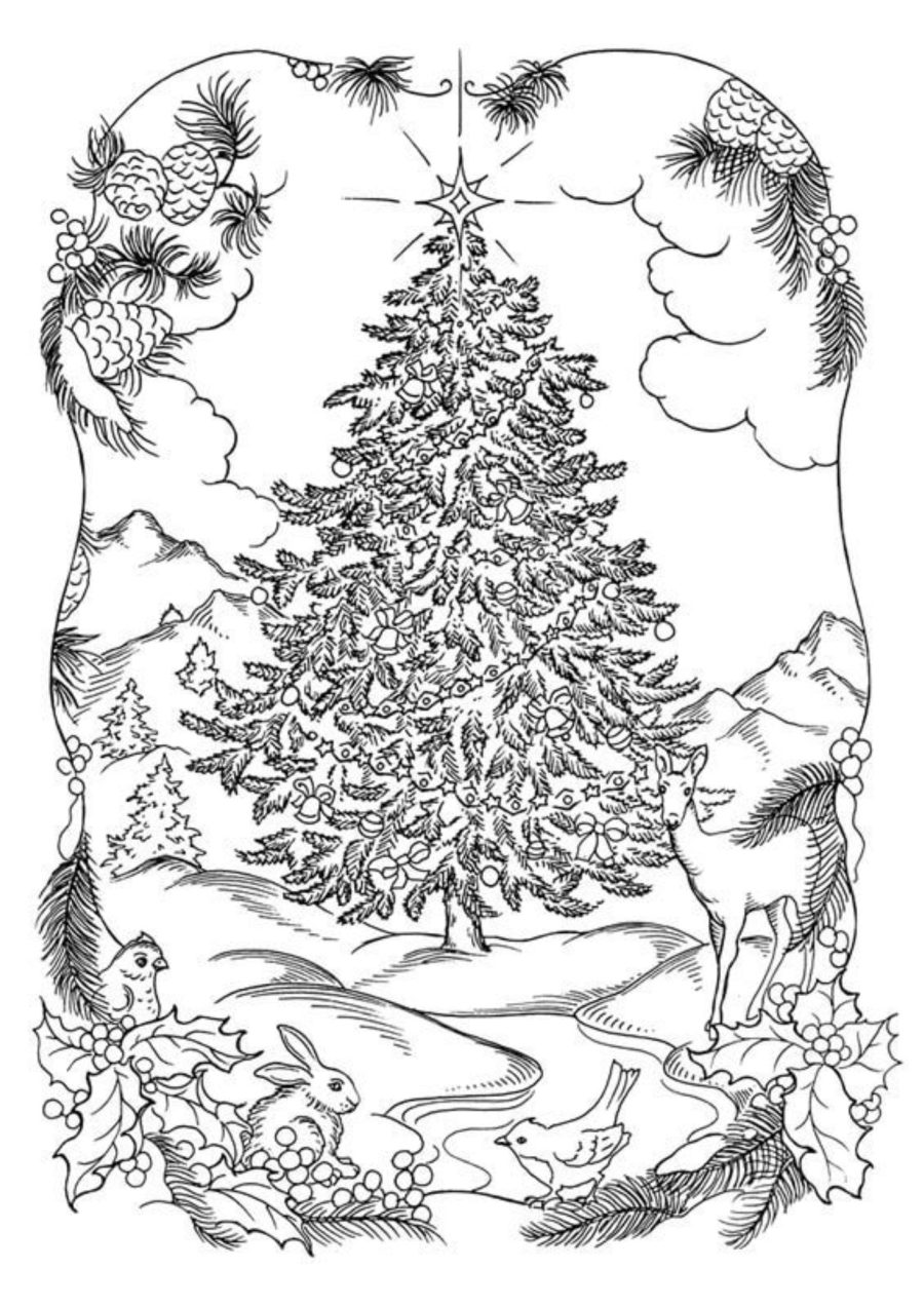 Ficha de invierno recursos 2