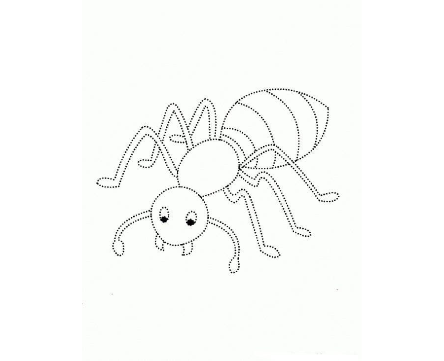 Fichas de hormigas para colorear 2